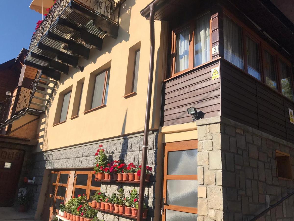Casa Mikha Daire Sinaia Dış mekan fotoğraf